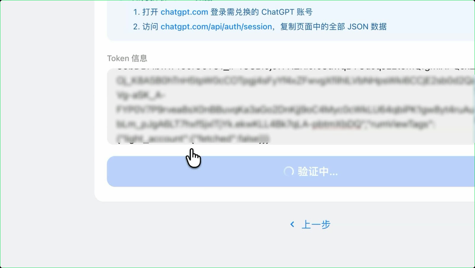 粘贴 Token 并校验